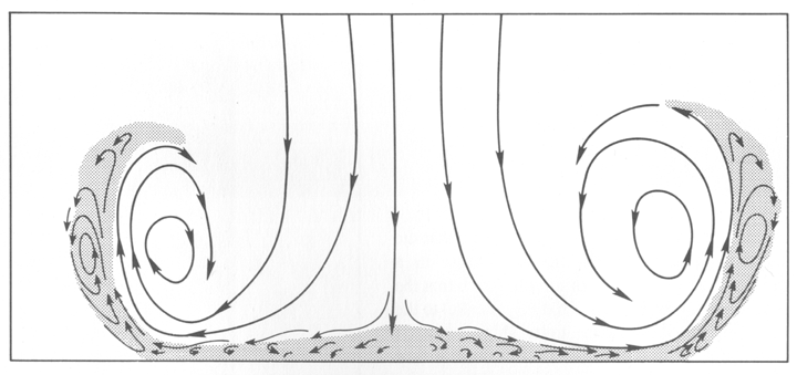 Vortex Ring Model of a Microburst